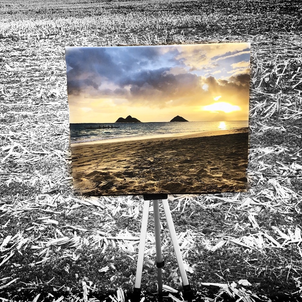 16x20 canvas picture